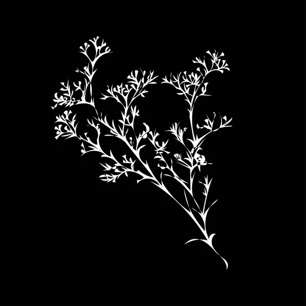 Rama de hermosa silueta dibujada a mano gypsophila — Vector de stock