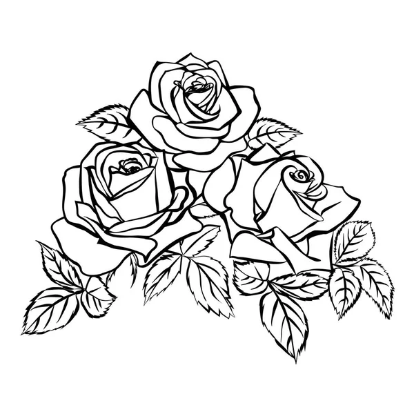 Rosenskizze auf weißem Hintergrund — Stockvektor