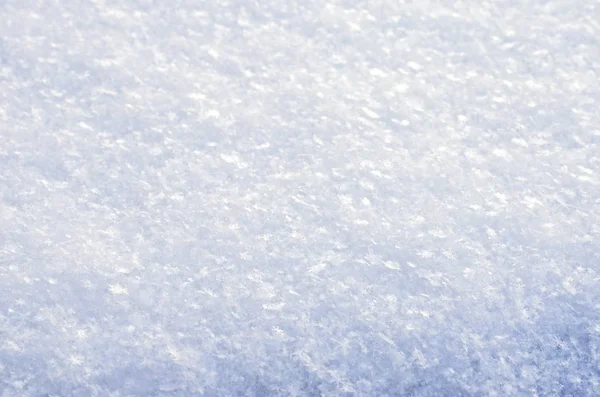 Clean fluffy snow surface. — Stock Photo, Image