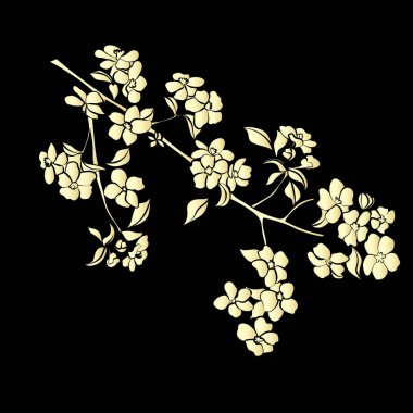 dal elma ağacı çiçekleri