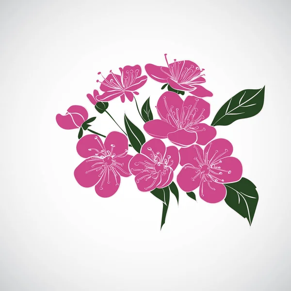 ดอกซากุระทวิก — ภาพเวกเตอร์สต็อก