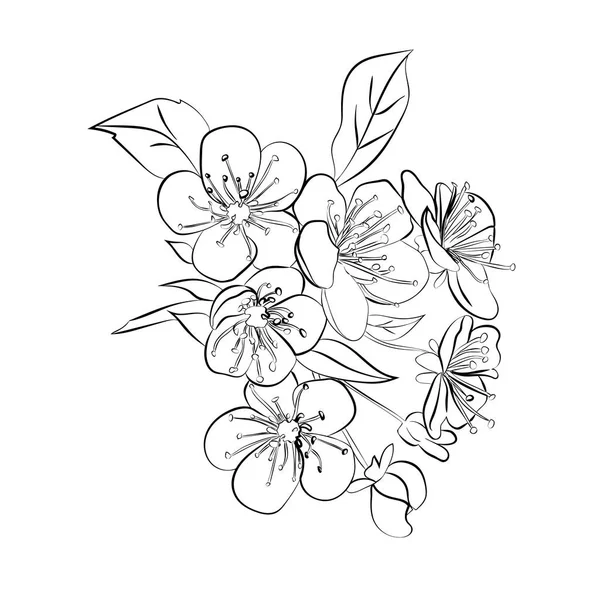Ramoscello fiori di ciliegio — Vettoriale Stock