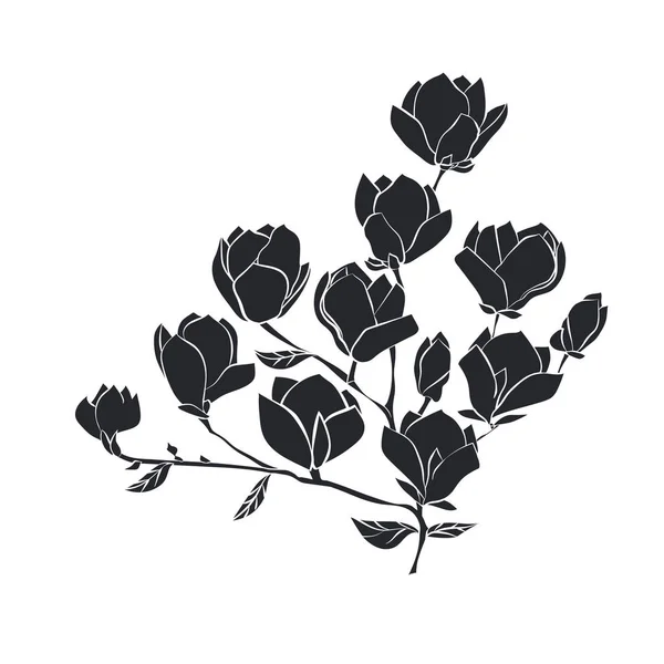 Ανθοφορία κλαδί του Magnolia στην εικονογράφηση διανυσματικά λευκό φόντο — Διανυσματικό Αρχείο