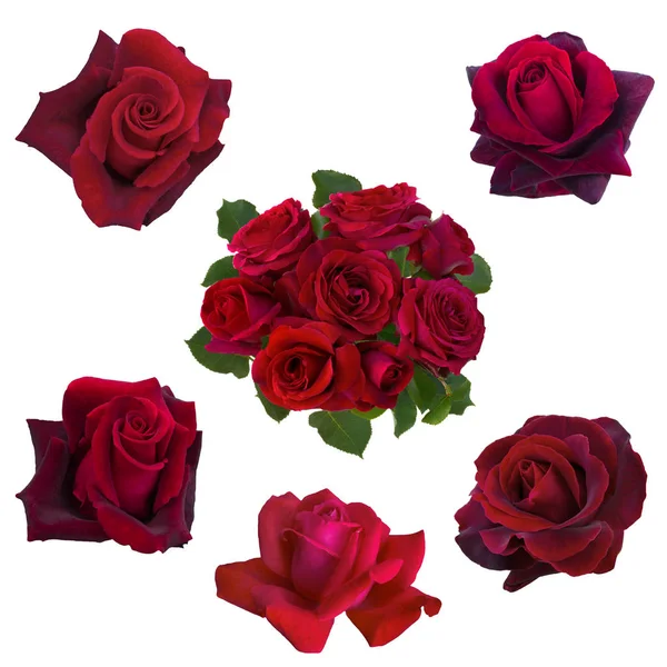 Kırmızı güllerin kolajı — Stok fotoğraf
