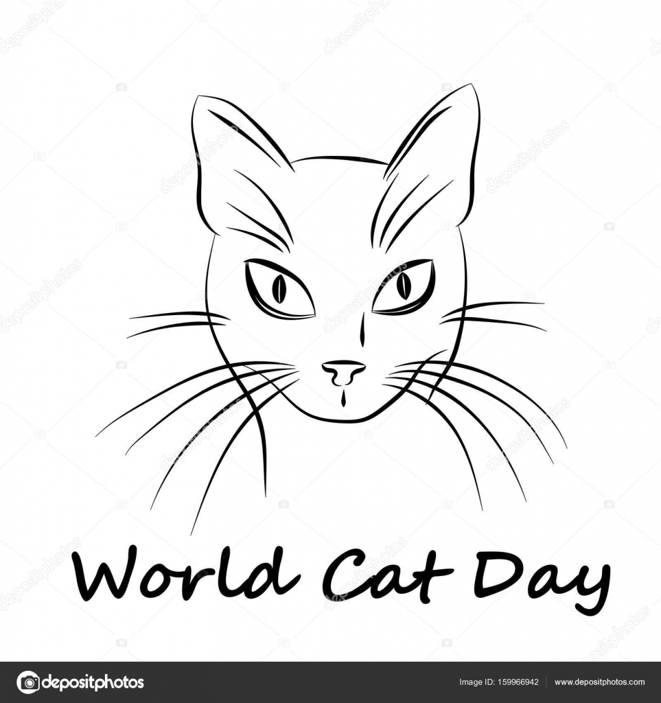 Kedi Günü Kedi Günü