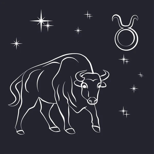 Segno dello zodiaco Toro è il cielo stellato — Vettoriale Stock