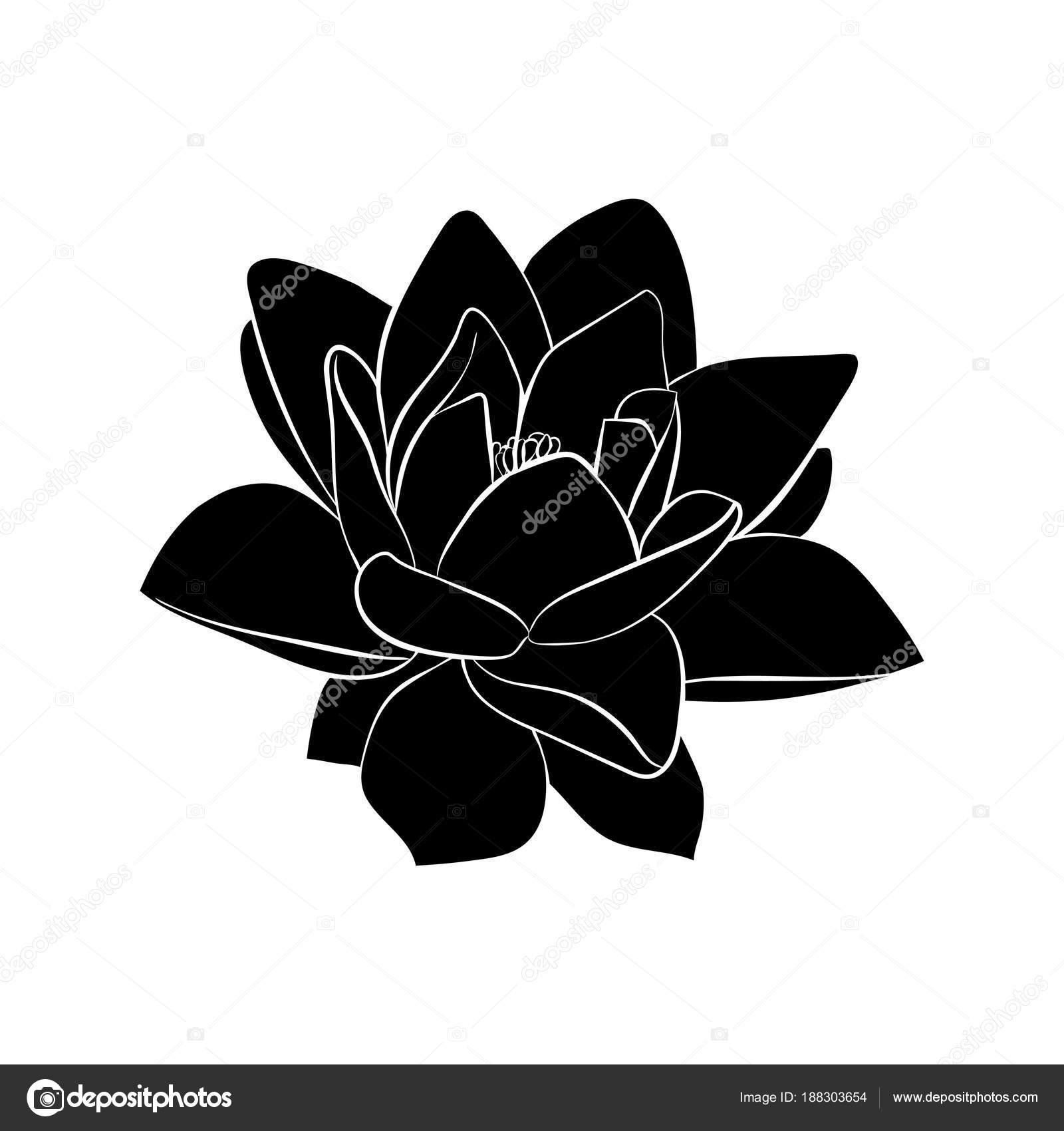 Lotus Flowers Icon Stock Vector C Likka 188303654