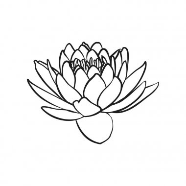 Lotus çiçekleri simgesi