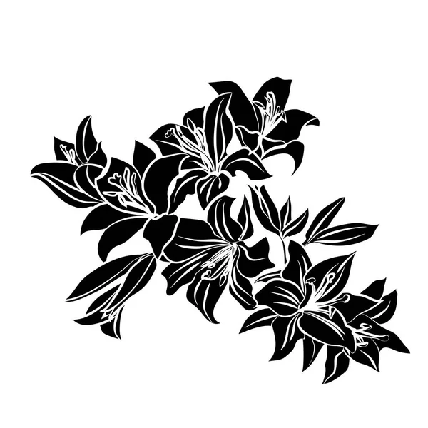 Schwarze Silhouettenlilie. — Stockvektor