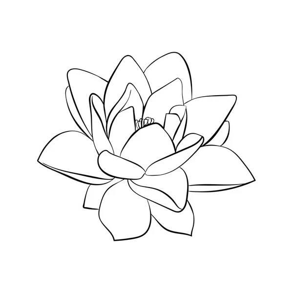 Icono de flores de loto — Vector de stock