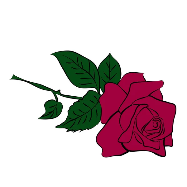 Silhouette de rose — Image vectorielle