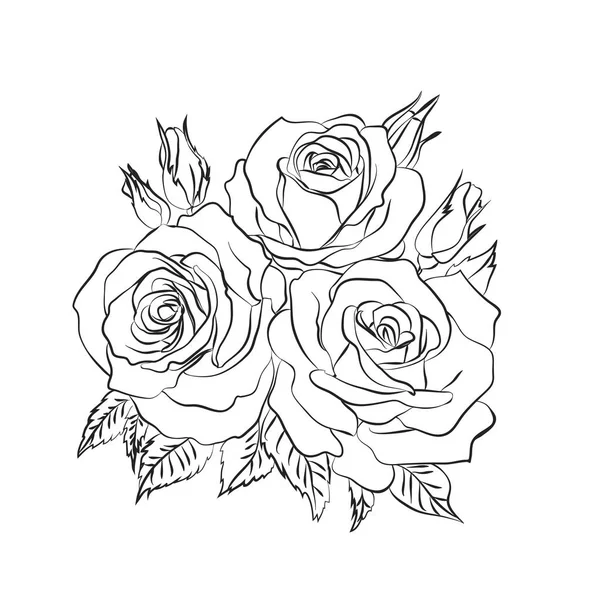 Rose sketch on white background — Stock Vector