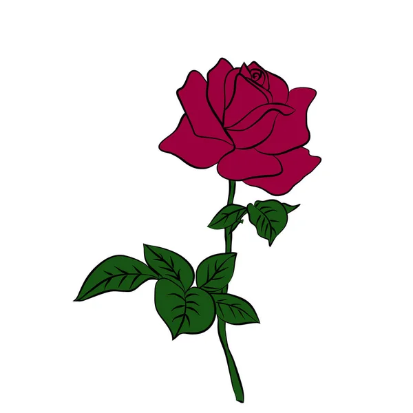 Silhouette Rózsa — Stock Vector