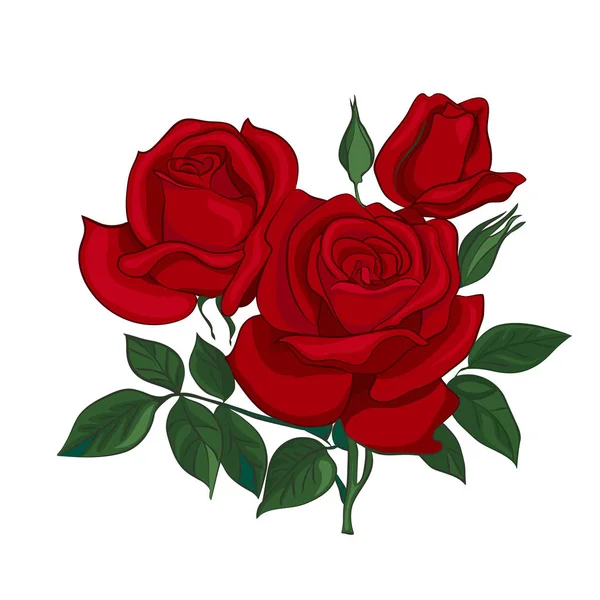 Ramo de rosas rojas — Vector de stock