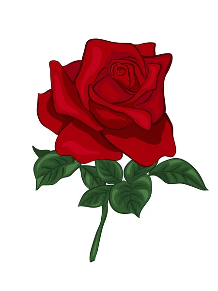 Rosa rossa singola — Vettoriale Stock