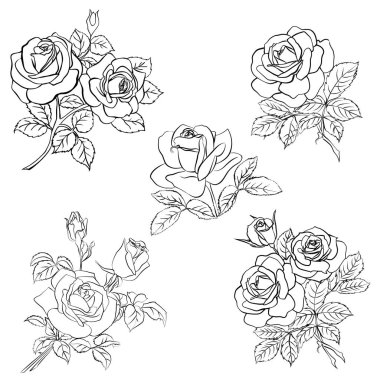 Rose kroki ayarla.