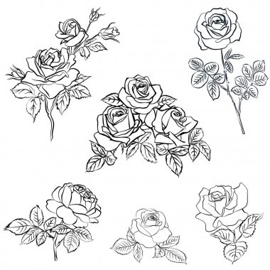 Rose kroki ayarla.