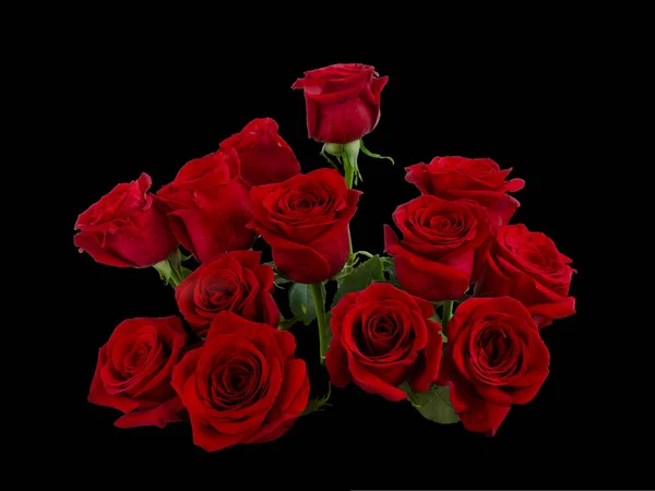 Kytice z červených růží se zeleným listím — Stock fotografie