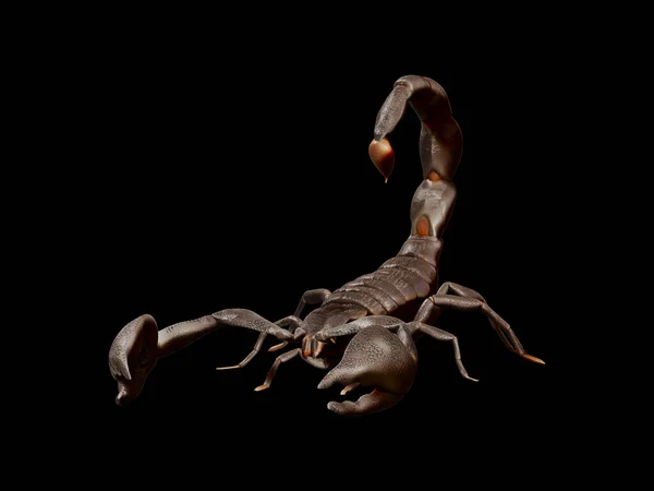 Escorpião imperial isolado sobre fundo preto. Resultado da renderização modelo 3d — Fotografia de Stock