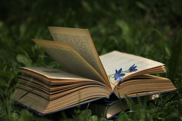 Still life of an old book with yellowed pages on green grass and a blue flower