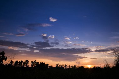 Alacakaranlık gökyüzü ve siluet ağacıyla altın ışık. Yüksek seviye 0