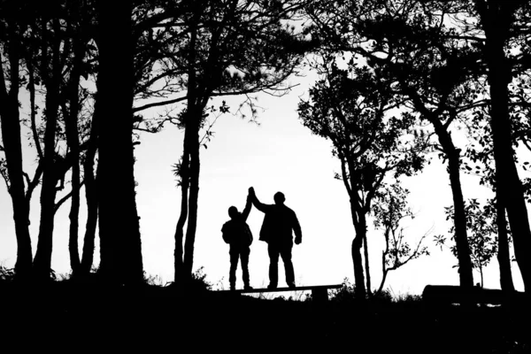 Silhueta de casal de amor na borda de árvores, costas e tom branco — Fotografia de Stock