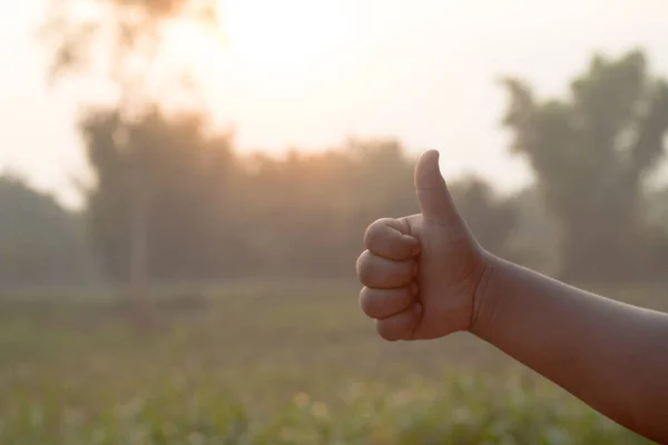 Hand macht Okay Zeichen. — Stockfoto