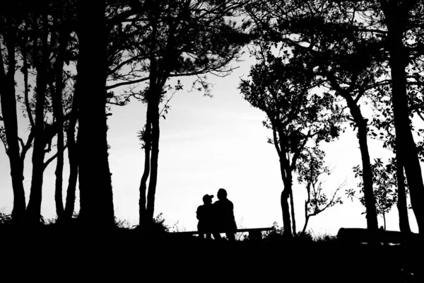Sylwetka pary miłości na granicy drzew, z tyłu i biały ton — Zdjęcie stockowe