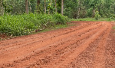 Tayland kırsalında kırsal yol.