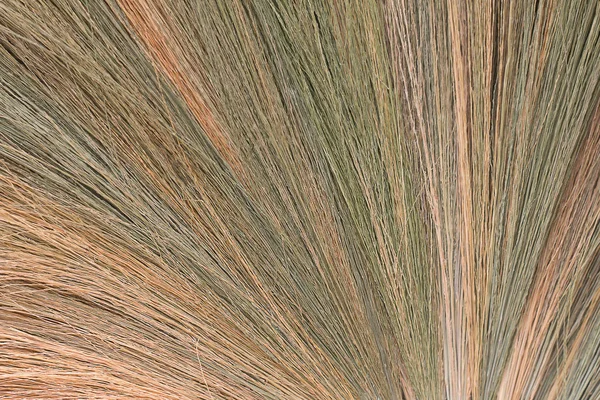 Broom tekstury trawy abstrakcyjne tło. — Zdjęcie stockowe