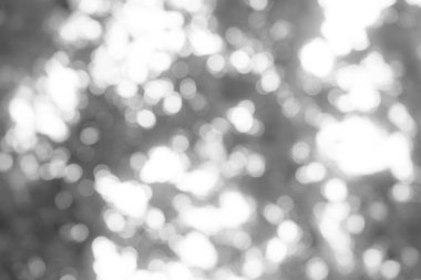 Gri gradyan bulanık arkaplan