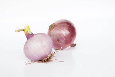 Beyaz arkaplanda Shallot 'ların kapatılması