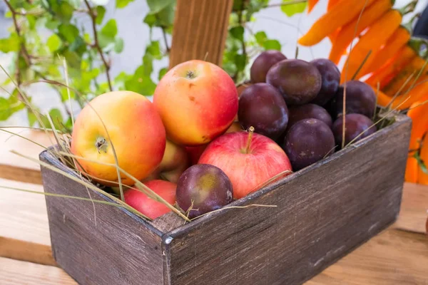 Fruits wooden box — Stock Photo, Image