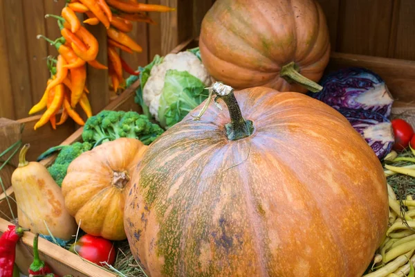 Kürbis mit Gemüse — Stockfoto