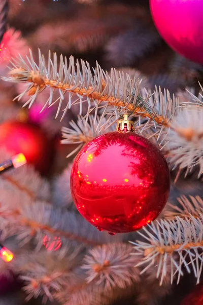 Noel ağacı ve kırmızı cam top