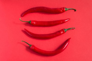 En az kırmızı zemin üzerine kırmızı biber biber. Konsept fotoğraf tasarımı için.