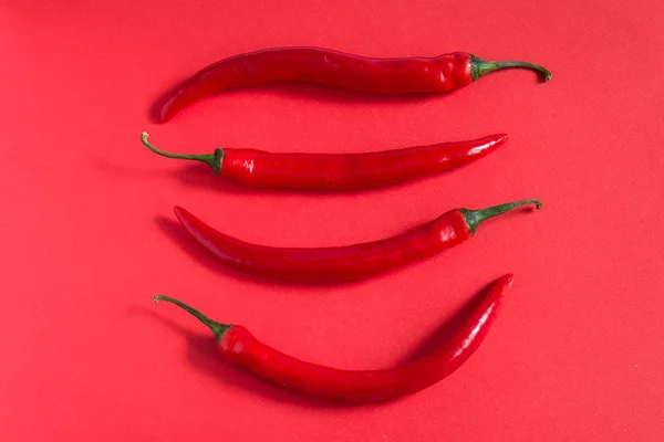 Red peppers chili on minimal red background. Concept photo for design.