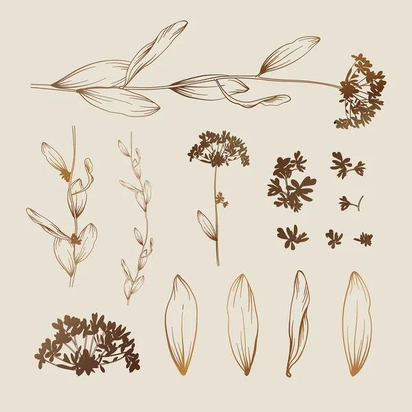 Floral στοιχεία σχεδιασμού — Διανυσματικό Αρχείο