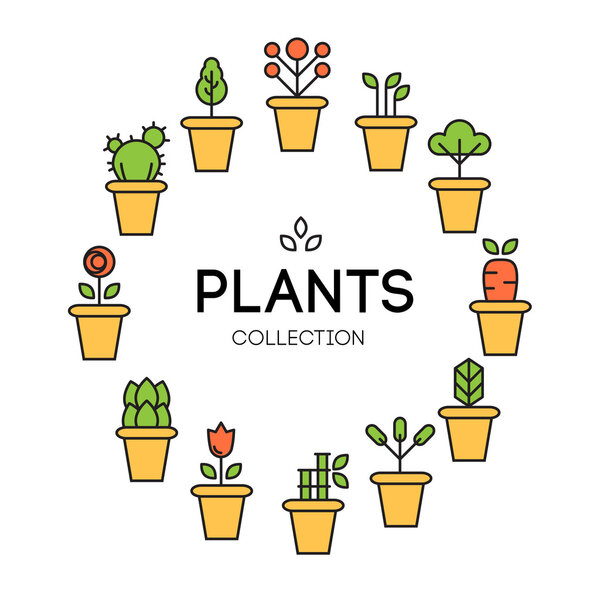 design of Plant icon