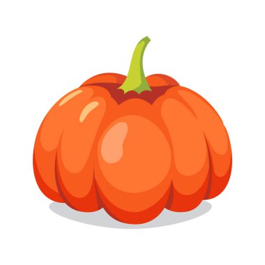 Kabak renkli resimde