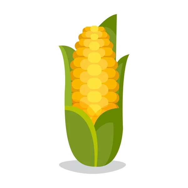 Maïs cobs kleurrijke afbeelding — Stockvector