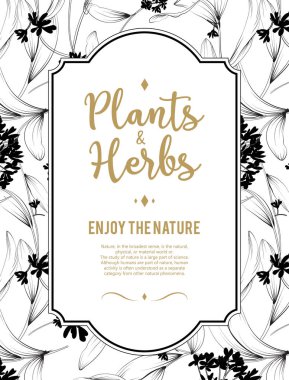 bitkiler ve otlar ile çerçeve