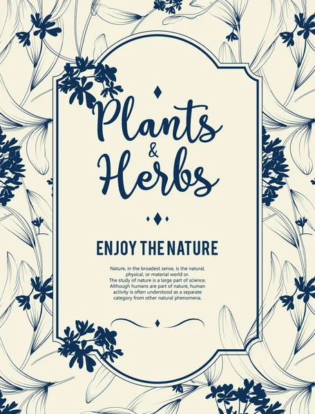 Cadre avec plantes et herbes — Image vectorielle