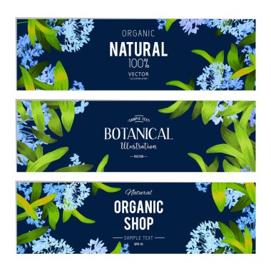 Bitkiler ve otlar afiş kümesi 