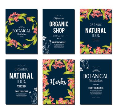 Bitkiler ve otlar afiş kümesi 