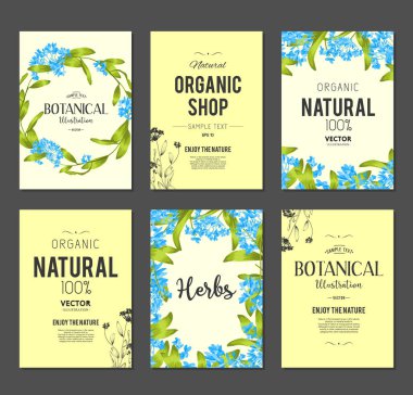 Bitkiler ve otlar afiş kümesi 