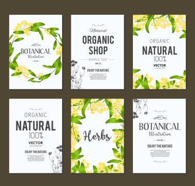 Bitkiler ve otlar afiş kümesi 