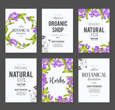 Bitkiler ve otlar afiş kümesi 