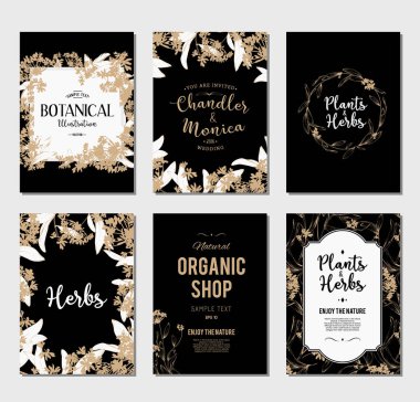 Bitkiler ve otlar afiş kümesi 