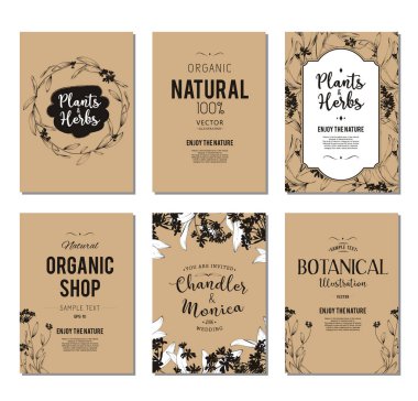 Bitkiler ve otlar afiş kümesi 